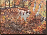Freeze Before Flight - Brittany Spaniel