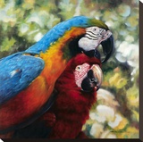Colorful Pair