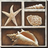 From the Ocean III