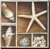From the Ocean II