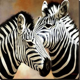 Zebra Pair