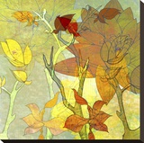 Autumn Textures