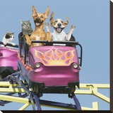 Riding on Roller Coaster