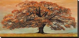 Oak