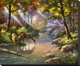 Doe Ray Me Creek