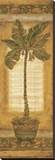Palmera Banana