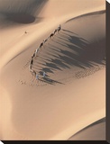 Camel Caravan in the Sahara Desert  Mauritania