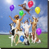 Dogs partying