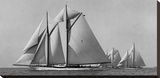 Schooner Race