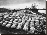 First Shipment of Beetles to America  1956
