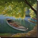 Barca sul fiume
