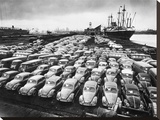 First Shipment of Beetles to America  1956