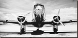Passenger Airplane on Runway
