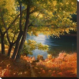 Radura sul fiume
