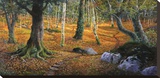 Sottobosco