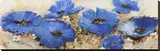 Fiori di marzo