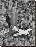 Hawks Airplane in Flight over New York City