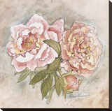 Victorian Panel-Peonies