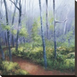 Early Spring Woods