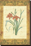 Key West Lily I