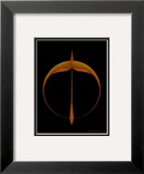 Sagittarius  November 22-December 21