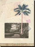 San Saba