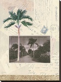 Nassau