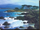 Coastline At Pacific Grove