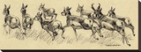 Running Deer (sepia)
