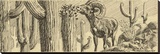Longhorn Sheep (sepia)