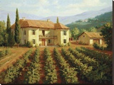 Tuscan Vineyard