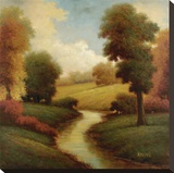 Ancienne Riviere I