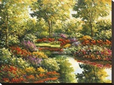 Water Garden Reflections