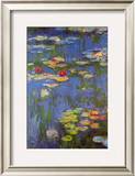 Water Lilies No 3