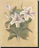 White Lilies