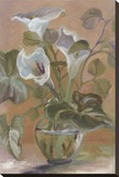Alice Lilies