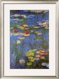 Water Lilies No 3