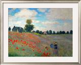 The Poppy Field  1873