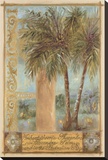 Alexander Palm