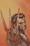 Wolverine Weapon X 1 Cover: Wolverine