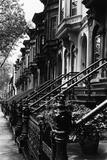 Stoops on 19th Century Brooklyn Row Houses