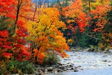 Stream in Autumn Woods