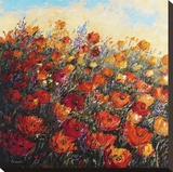 Poppy Dance II