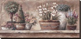 Antique Blooms
