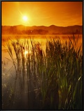Sunrise over a Misty Pond and the Presidential Mountains
