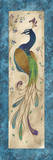 Peacock IV