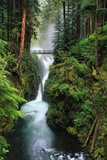 Sol Duc Falls Cascading Through Rainforest