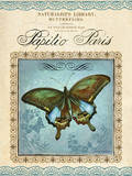 Papilio Paris
