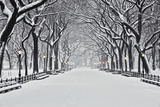 Central Park in Winter