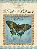 Papilio Blumei